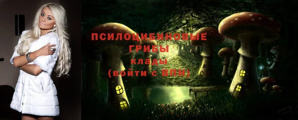 ALPHA-PVP Алексин