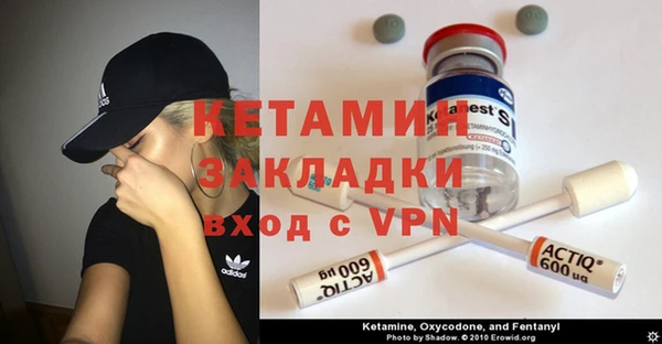 шишки Белокуриха