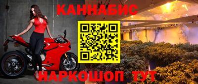 гашиш Тара