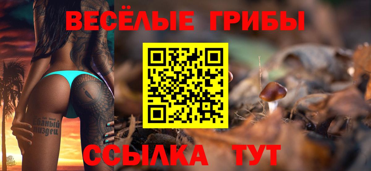 Галлюциногенные грибы Psilocybe Петропавловск-Камчатский