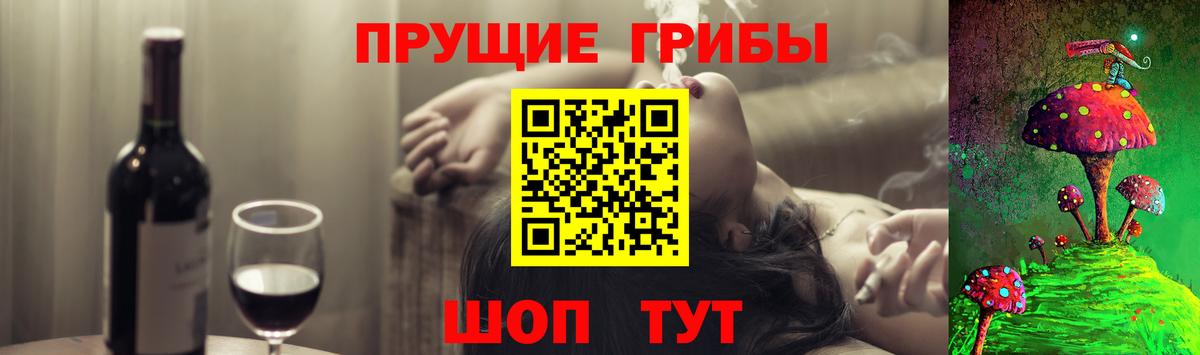 Петропавловск-Камчатский  Псилоцибиновые грибы мицелий  где купить наркоту  Вход с VPN 
