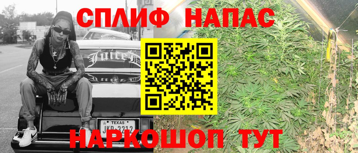 Бошки Шишки план Петропавловск-Камчатский